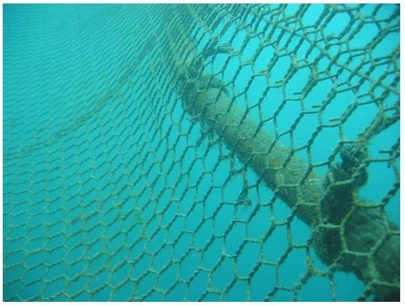 net_pen_pic1